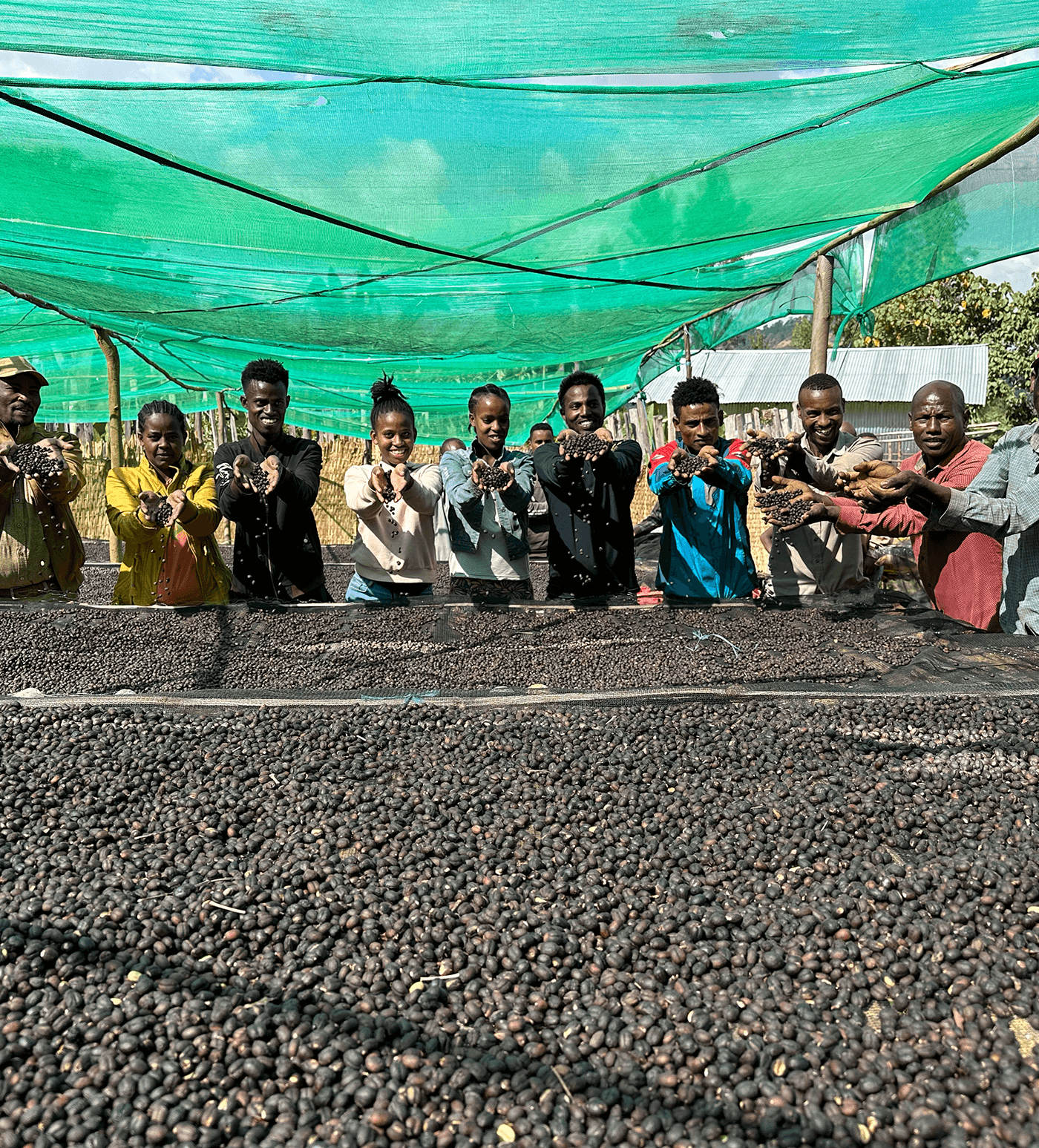 Ethiopia Bekele Belaycho Natural - Image 4