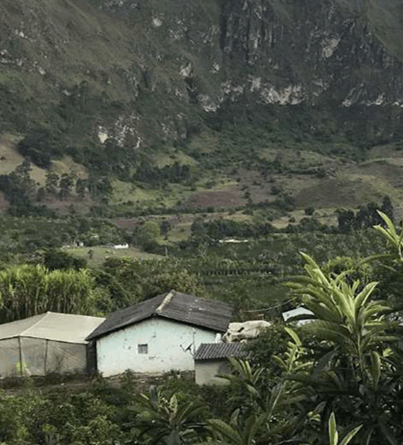Colombia Yacuanquer - Image 3